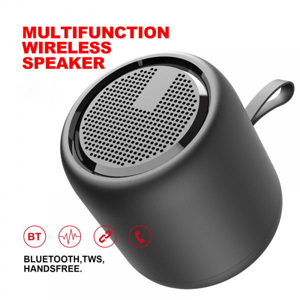 Bärbar Bluetooth-högtalare med resefodral, mikrofon, TWS Wirel