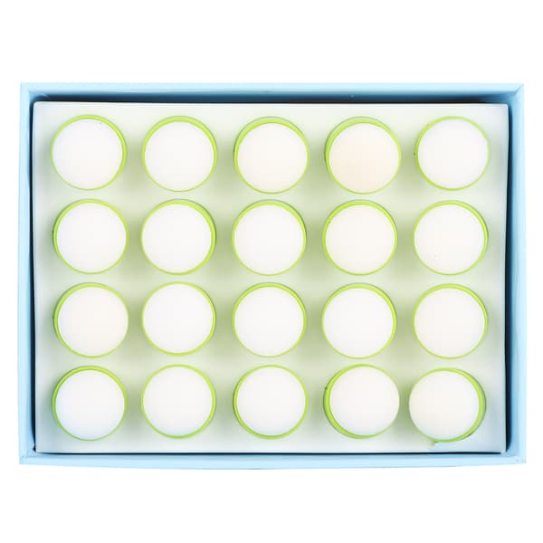 20 st finger svamp daubers gröna barn DIY målning bläckplatta stämpling verktyg boxade