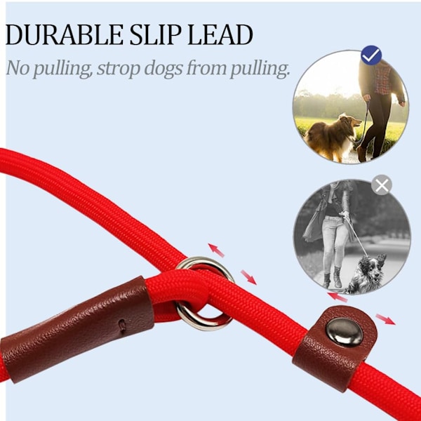 Slip Lead Kontrol Line til Hunde Ingen Træk, 13+ Farver Klassisk Hundeline 6FT Kæledyr Slip Line, 1/4\\u201d Reb Line til Små Mellemstore Dyr red 6ft*1/4"