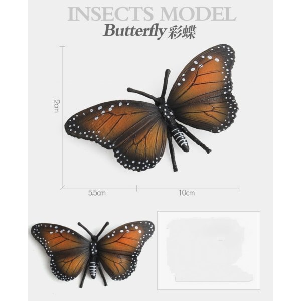 Natur Insekter Livscyklus Vækster Model Spil Prop，Simulatio