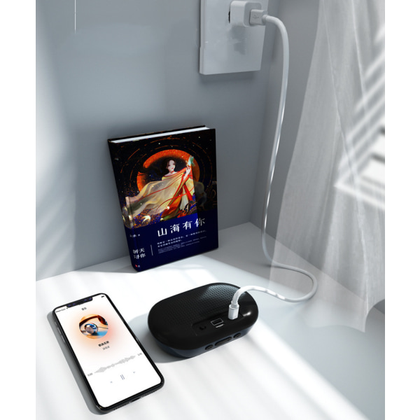 Bluetooth 5.0-högtalare, stereoljud, 15 timmars speltid, utomhus
