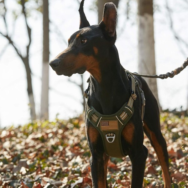 Taktisk hundsele för stora hundar utan drag, berömd TIK Tok hundsele utan drag, passform Smart reflekterande husdjurspromenadsele för träning, justerbar Do Green L