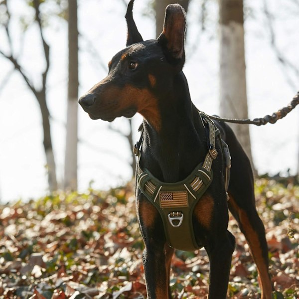 Taktisk hundsele för stora hundar utan drag, berömd TIK Tok hundsele utan drag, passform Smart reflekterande husdjurspromenadsele för träning, justerbar Do Green XL