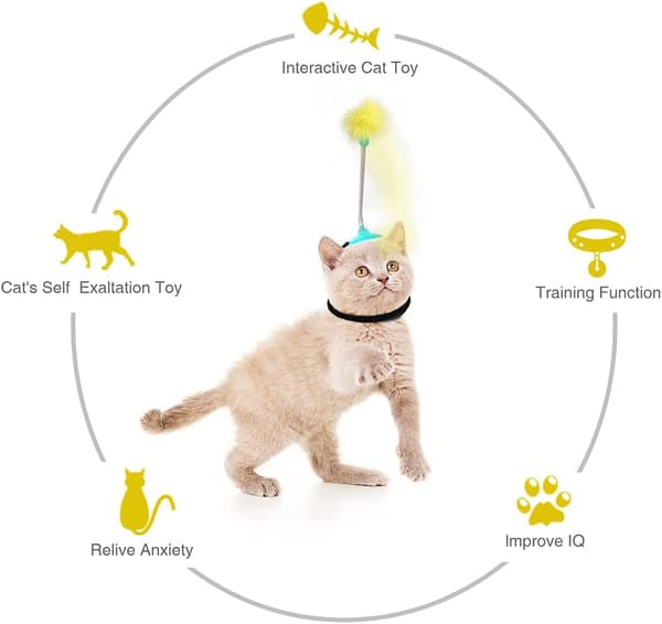 Fjærleker Interaktive Katteleker for Innekatter Kattunge Pla