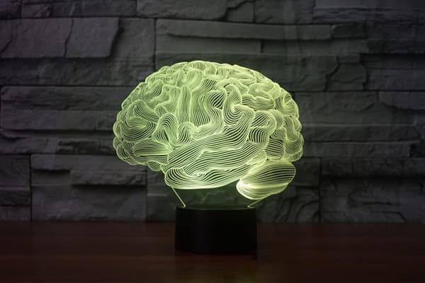 Hjerne 3D Illusion Natlampe Akryl Lys 3D Kunst Hjerne Mo