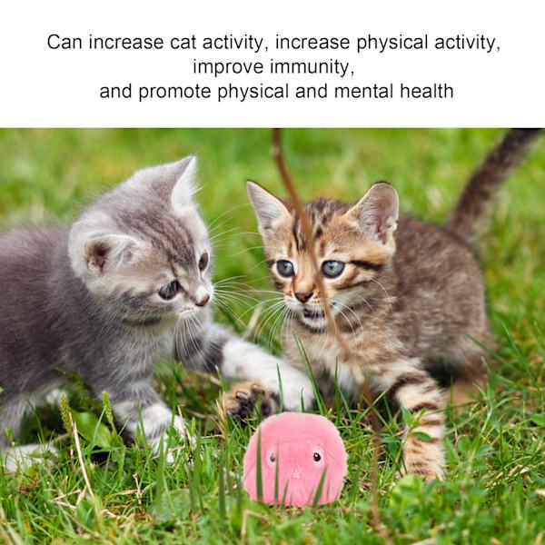 Mjuk katt leksak bollar fluffig katt leksak med verklighetstrogna djur ljud och kattmynta för katt övningRosa (fågel ljud )
