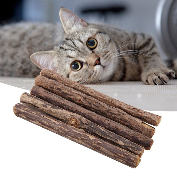5 stk Pet Cat Chewing Stick Naturlig Matatabi Chew Catnip Stick Cat Snacks Stick
