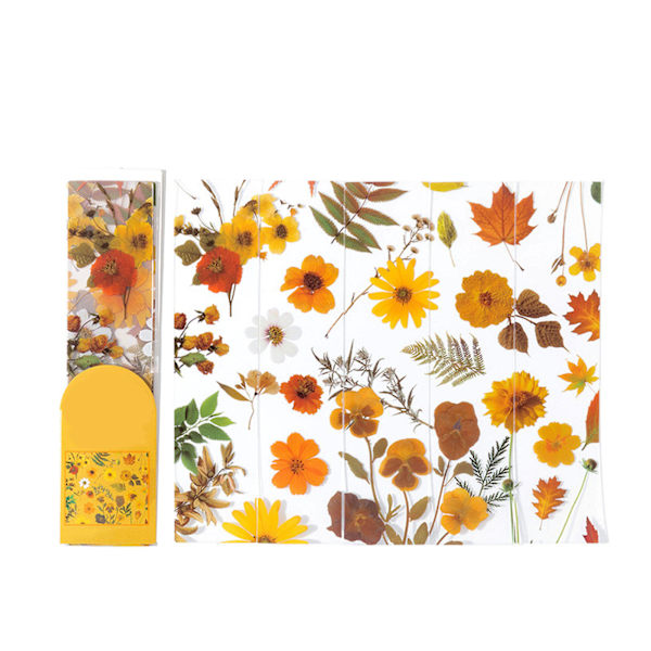 5 ark med blommor PET innovativ utsökt halvtransparent bokmärke set för skrotböcker anteckningsböcker böcker