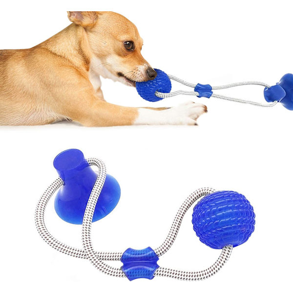 Sugkopp Hund Leksak, Husdjur Molar Bite Multifunktion Interaktiv