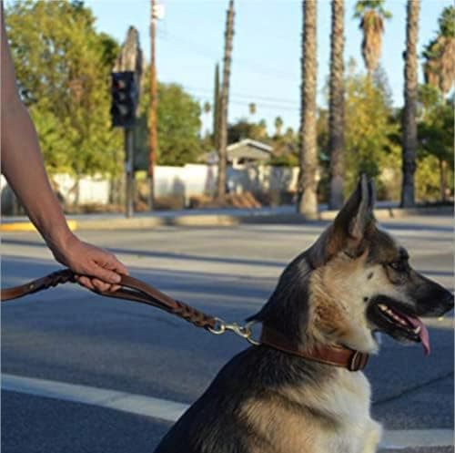 Premium Dubbelhandtag Läder Hundkoppel 5,9ft, Flätad Tung D