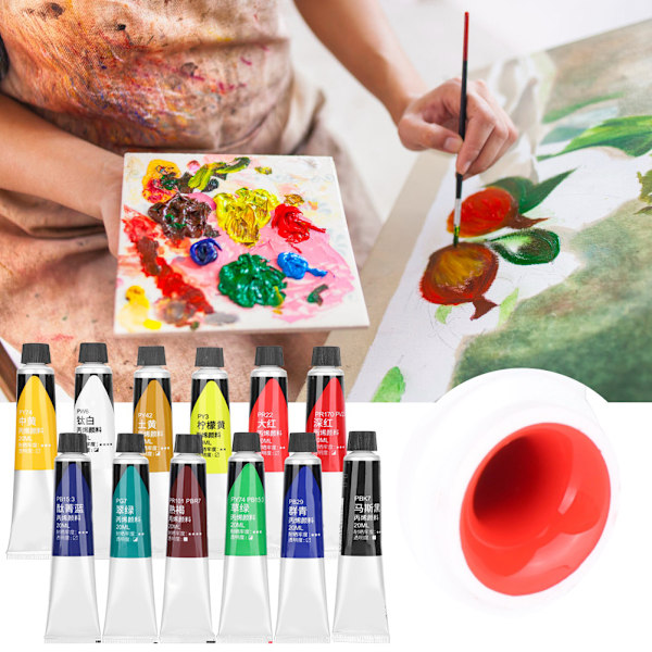 12 kpl akryylimaalisetit Seinä DIY Fluid Painting Käsinmaalatut kengät Vedenpitävä materiaali