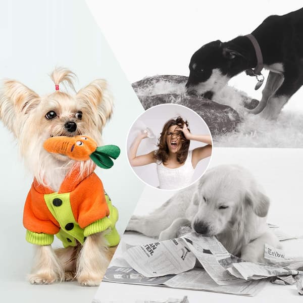 Søde plyslegetøj | Kæledyrslegetøj til små og mellemstore hunde a