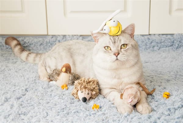 Interaktiv katt leksak djur ljud interaktiv pipande katt