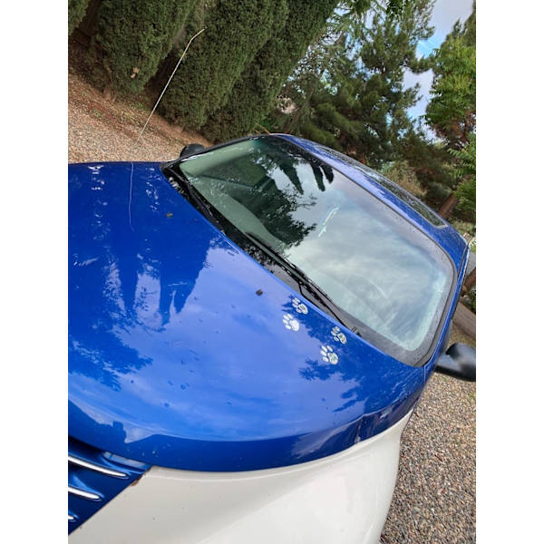 3D Chrome Hundepot Klistremerke Dekal Auto Bil Emblem Dekal Dekorasjon (Sølv)