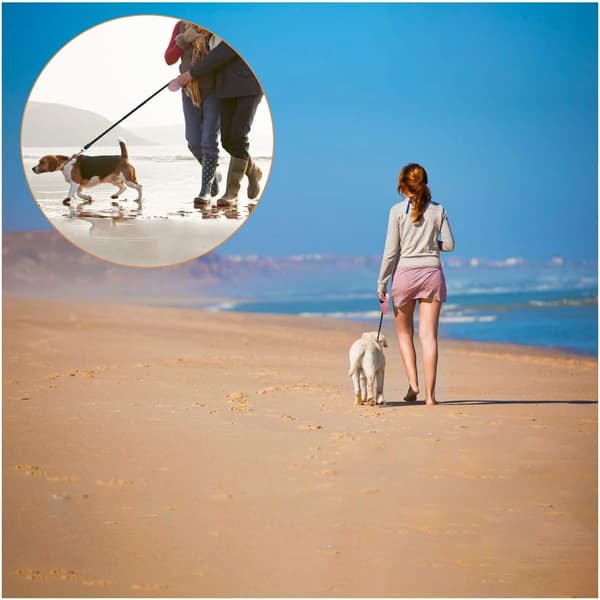 Rulleline til hund 3 meter, Hundesnor pink til små racer