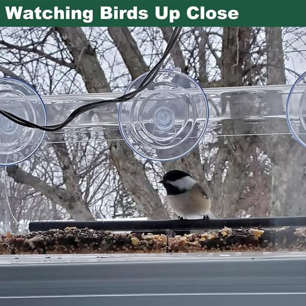 Rectangular Window Bird Feeder: Crystal Clear Acrylic with Strong Suction Cups, compatible with all bird species
