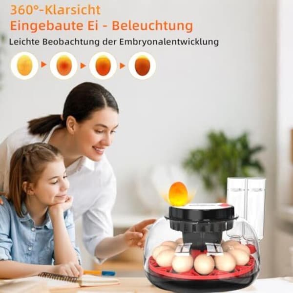 Automatic 12-Egg Incubator with Water Supply, Egg Turner, Temperature and Humidity Control, Hatching Machine