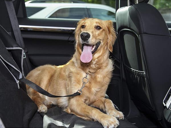 Hundesele - Bilsele til hund