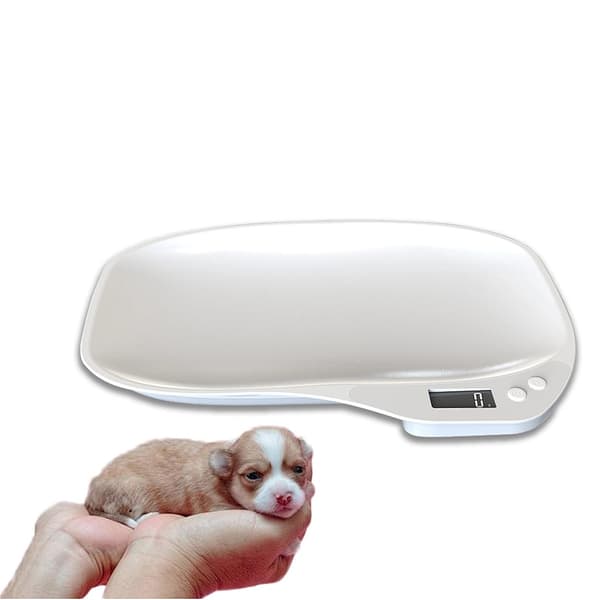 Digital Pet Scale 15000g - Accurate Weighing for Small Animals, Parcels, and Kitchen Use with LCD 40x18mm, White Backlight, Multiple Units, and Tare Function