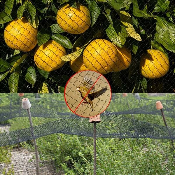 4m x 10m Black Bird Net - Protects Fruit Trees & Vegetables - Durable & Lightweight