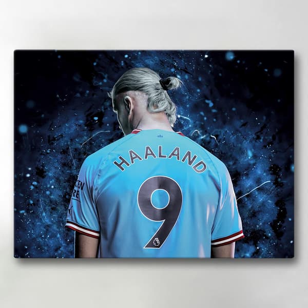 Lærredstryk / Billede - Haaland - 40x30 cm - Lærred