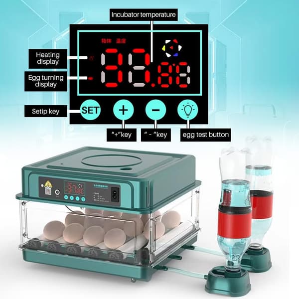 Automatic Egg Incubator, Can Hatch 12 to 15 Eggs, with Efficient LED Lighting, Automatic Egg Turning, and Humidity Control. (f2)