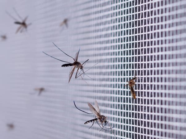 Magnetic mosquito net 150x180 cm - Self-closing