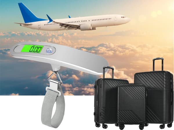 Luggage Scale / Hanging Scale - 50 kg