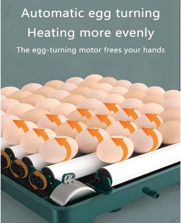 Automatic Egg Incubator, Can Hatch 12 to 15 Eggs, with Efficient LED Lighting, Automatic Egg Turning, and Humidity Control. (f2)