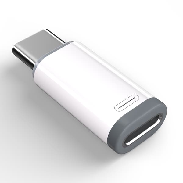 Lightning (hunn) til USB-C (hann) adapter