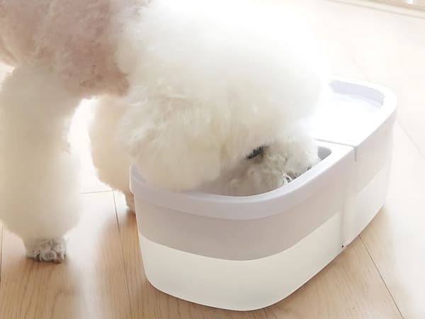 Fontenevannautomat 2-i-1 - For katt og hund USB
