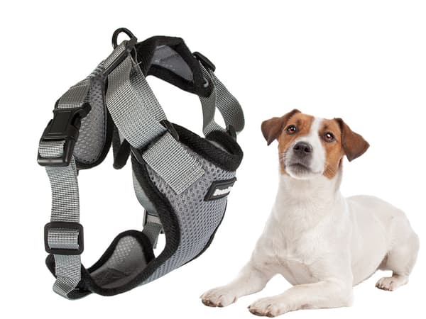 Hundesele / Sele til Hund - Trykfri - L