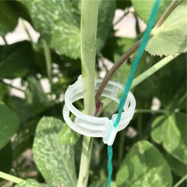 200-pak plastikclips til havearbejde, tomatclips 200 stk