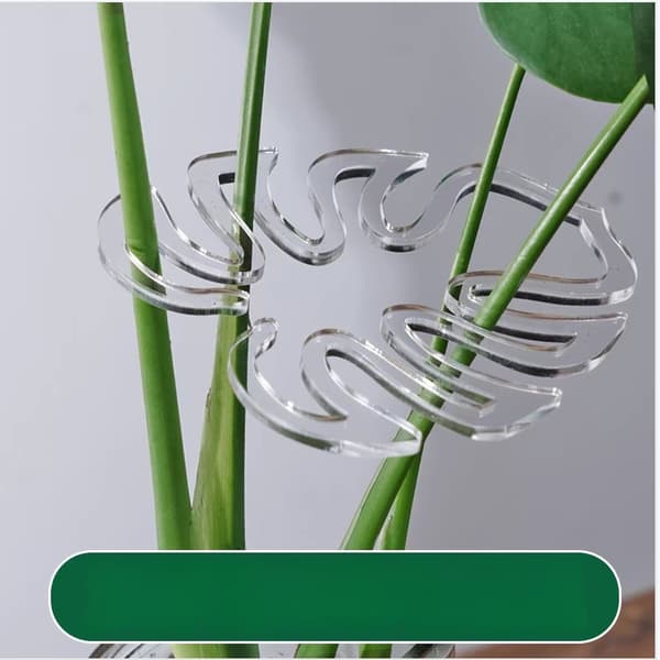 10 Pcs Plant Support - Clear ABS Monstera Leaf Shaping Tool for Climbing Plants