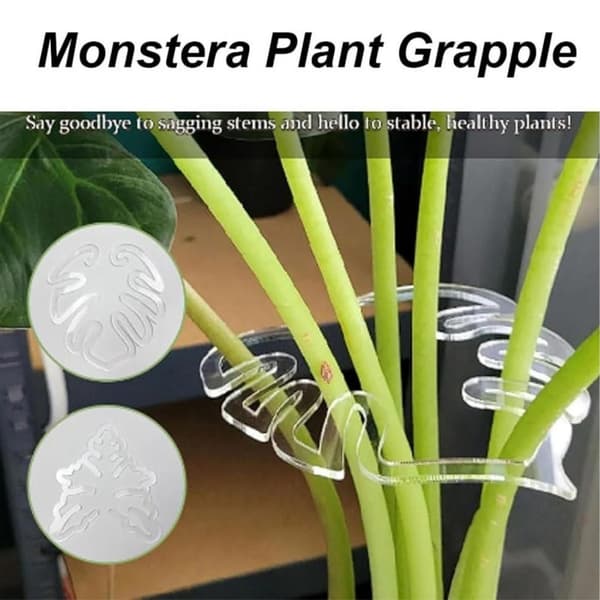 10 Pcs Plant Support - Clear ABS Monstera Leaf Shaping Tool for Climbing Plants