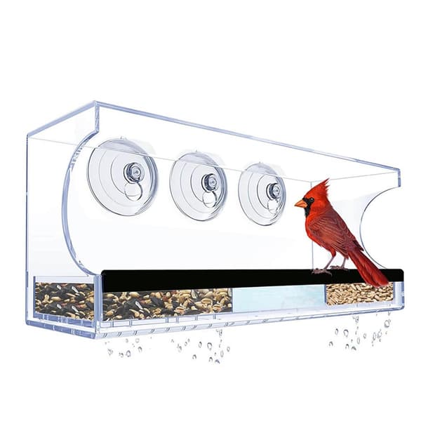 Rectangular Window Bird Feeder: Crystal Clear Acrylic with Strong Suction Cups, compatible with all bird species