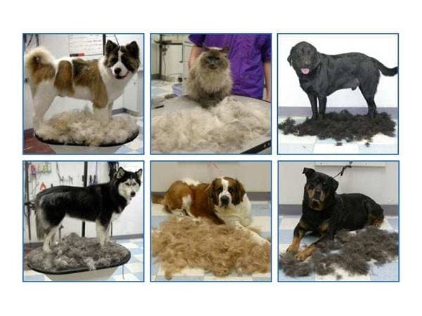 Hundekam / Kattekam - Kam til hund & kat - 7 cm