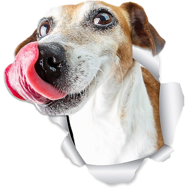 Happy Jack Russell Hund Väggdekaler Jack Russell Hund Toalettklistermärke 3d Hund Bilfönster Och Stötfångarklistermärke 2st-gul