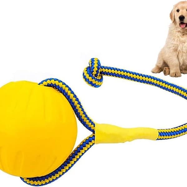 Boll med snöre, hundleksak, boll, hundleksak, vattenflöte, KLB[mo]