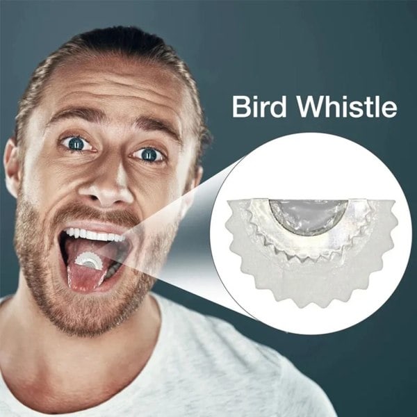 5 STK Fuglefløjte Kraftig Warbird Attraktor