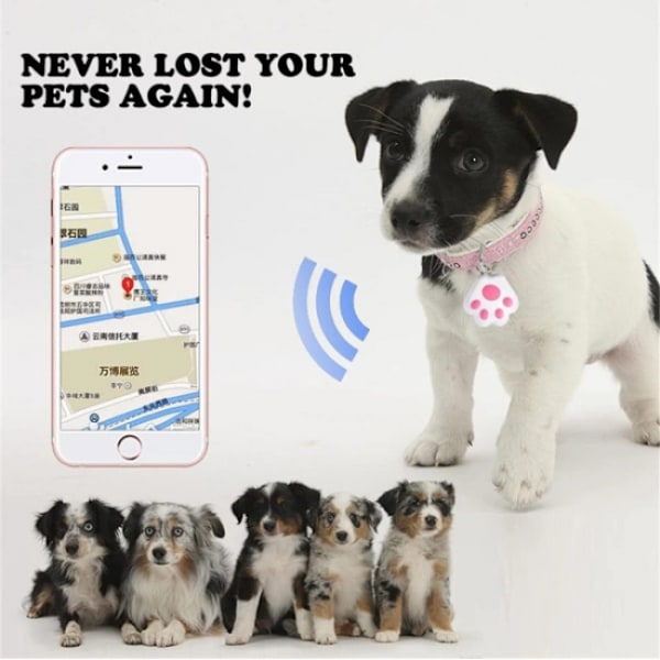 pc Mini katt/hund GPS spårningslokalisator (42*40*10mm), Bluetooth-spårning
