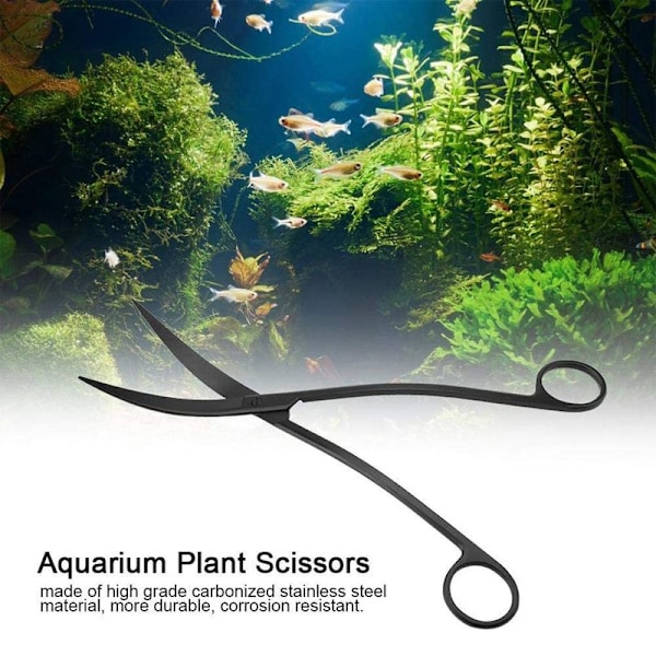 Akvarium Terrarium Sax Karboniserat Rostfritt Stål Svart