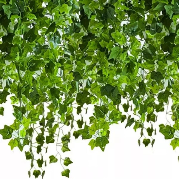 25 metriä Murattiköynnös / Lehtiköynnös - 2 m pitkä Vihreä Green Green