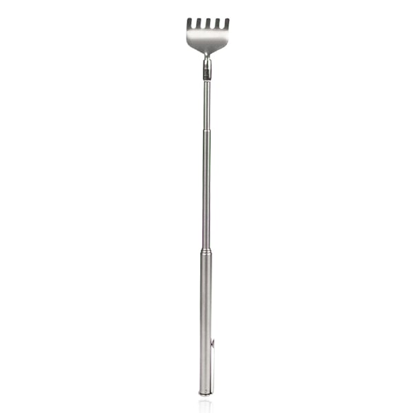 Teleskopisk Rygkliare Silver Silver