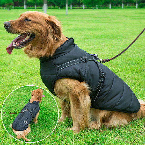 Varm vandtæt jakke med sele til hund Vinter Behagelig bomuldsbeklædning Vatteret vest til små og mellemstore hunde Sort Black 2XL