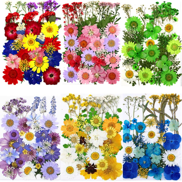 6 stk. tørrede blomster prægning kombinationspakke presset blomst