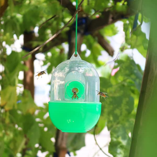 Set med 4 återanvändbara bietfällor, insektsfällor, getingfällor