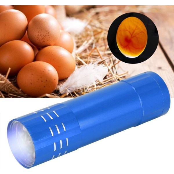 Ett ägg inkubatortestare, äggljus, Sökarljus, stark kyla