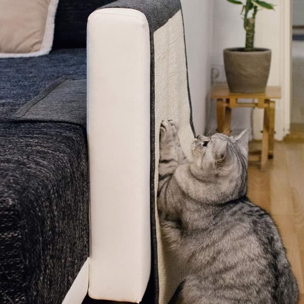 Kattekradsematte - Beskyttelse Sofa Armstol Møbler Gulv