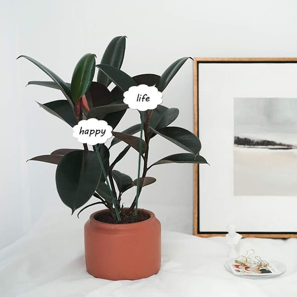 50 st 50 cm Gröna Växtstödsstickor